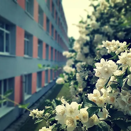 Szkolne Schronisko Mlodziezowe Sezonowe Nr 3 Hostel