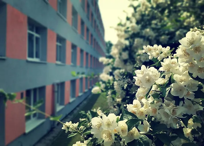 Szkolne Schronisko Mlodziezowe Sezonowe Nr 3 Hostel